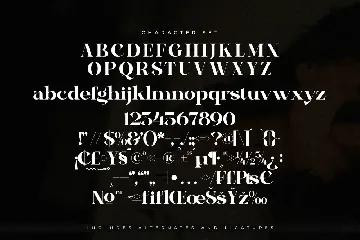 Bagife Modern Serif Font