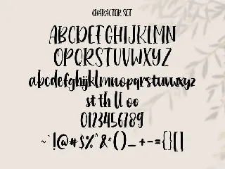 Hollowcoves Handwritten Display Font