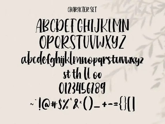 Hollowcoves Handwritten Display Font