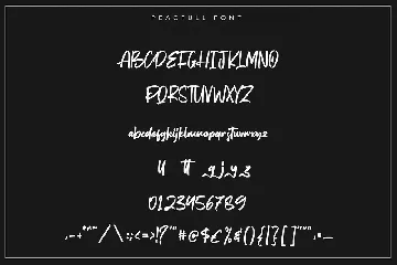 Peacfull | Brush Script Font