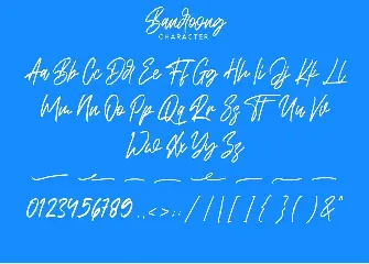 Bandoong | Modern Script Font