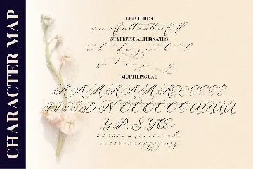 Berlishanty Calligraphy Beautiful Script font