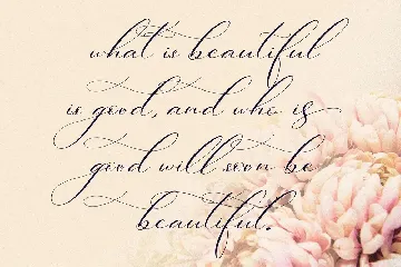 Berlishanty Calligraphy Beautiful Script font