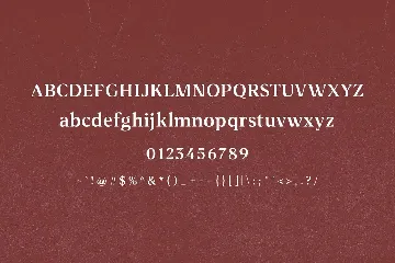 Borris Font Duo