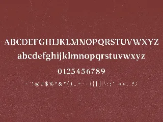 Borris Font Duo