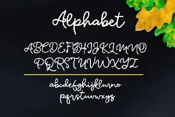 Glypher Modern Font