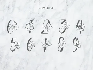 Flanela Monogram Font