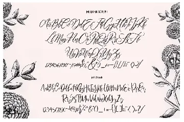 Maldina 4 fonts