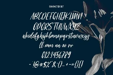 Woodstark Script Brush Font