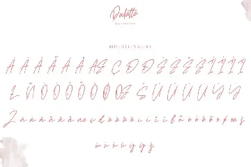 Palette | Monoline Signature Font