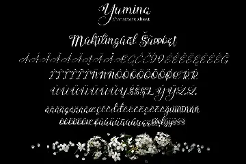 Yumina - Script Font