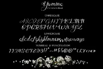 Yumina - Script Font