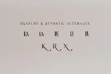 Modern Serif Font