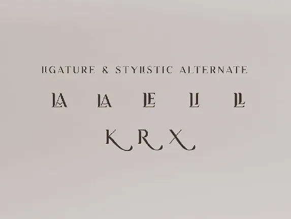 Modern Serif Font