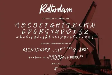 Rotterdam - Handwritten Script fonts