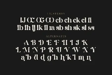 Coer Jogeds - Modern Serif Font