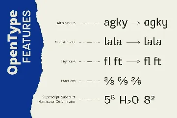 Reffort Sans Family font