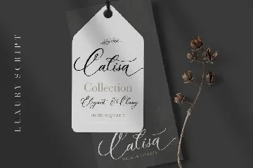 Wyattruly Luxury Script font