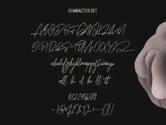 Willshore Signature Script Font