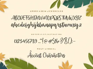 Perfect Island Script Font