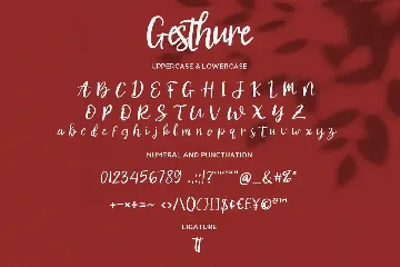 Gesthure- Handwritten Script fonts