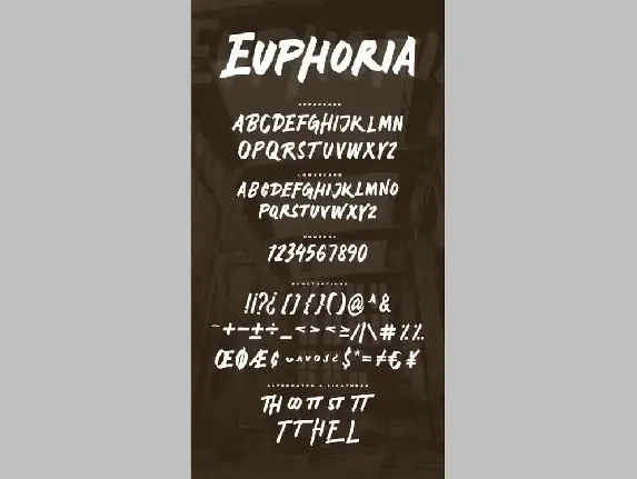 Euphoria - Casual Handwritten Font