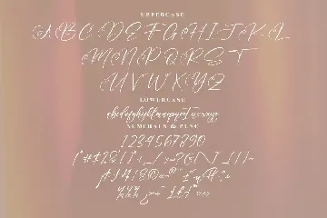 Maillinda Beautiful Script Font