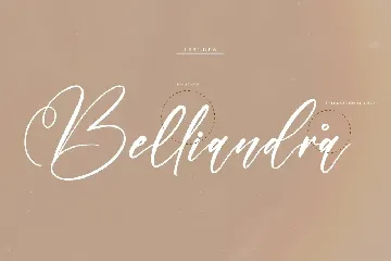 Maillinda Beautiful Script Font