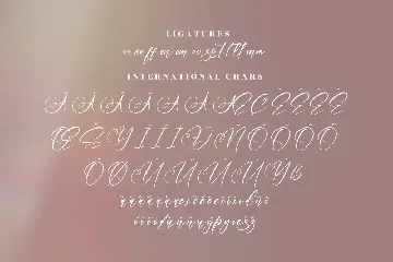 Maillinda Beautiful Script Font