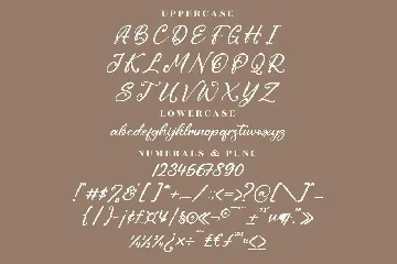 Cantika Sarah Script Font