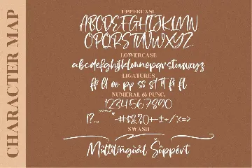 Portofolio Brilliant Script Font