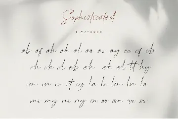 Sophisticated - Signature Font