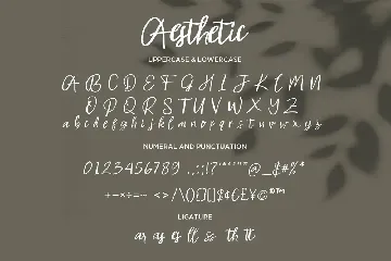 Aesthetic - Handwritten Script fonts