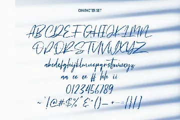 Ronny Catuss Signature Brush Font