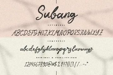 Subang - The Casual Script font