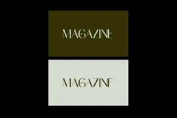 Modern Elegant Serif Typeface font