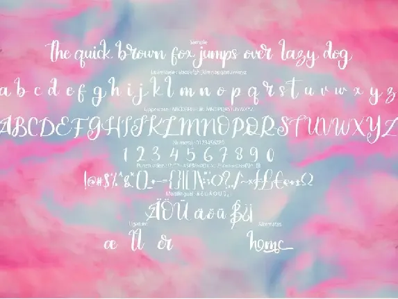 Serfeb | Modern Script Font