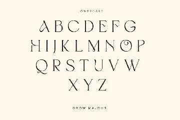 Modern Stylish Beautiful Serif font