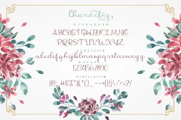 Shanela - Romantic Modern Script Font