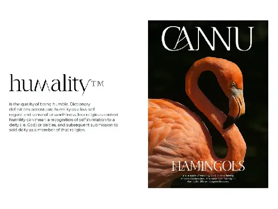 CANNU font