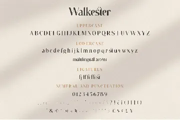 Walkester Font Duo