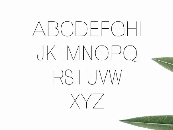 Zevida Sans Serif Font Family