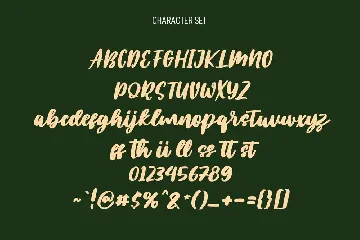 Plotwist Handwritten Script Font