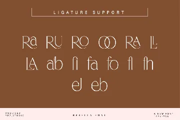 Elegant Luxury Serif Display Font