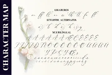 Gashina Lattiva Beautiful Script font