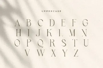 Kingdom - Elegant Stylish Serif font