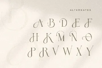 Kingdom - Elegant Stylish Serif font