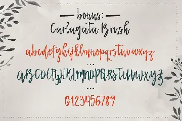 Carlagata font