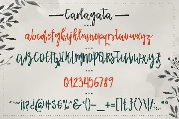 Carlagata font