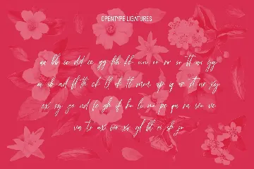 Florentroses Signature Font